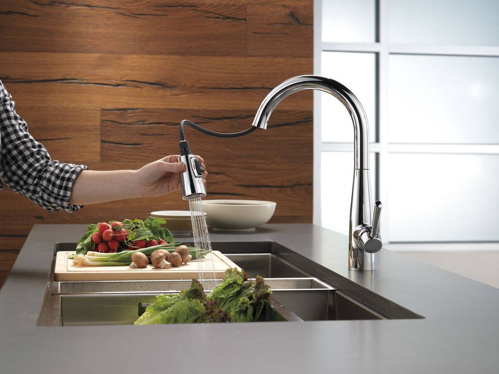 Delta Essa®: Single Handle Pull-Down Kitchen Faucet - Single Handle Lever - Chrome