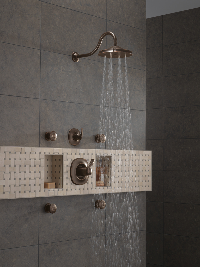 Delta Other: Surface Mount Body Spray - Venetian Bronze