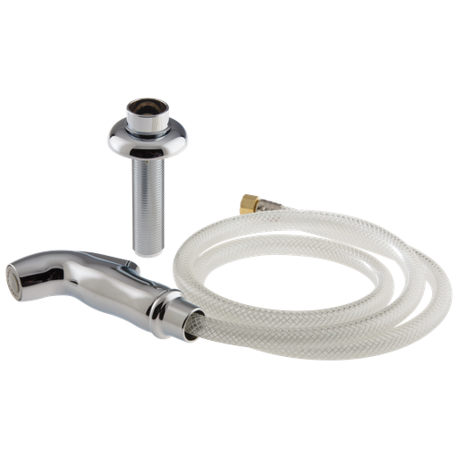 Delta Other: Side Spray & Hose Assembly - Chrome