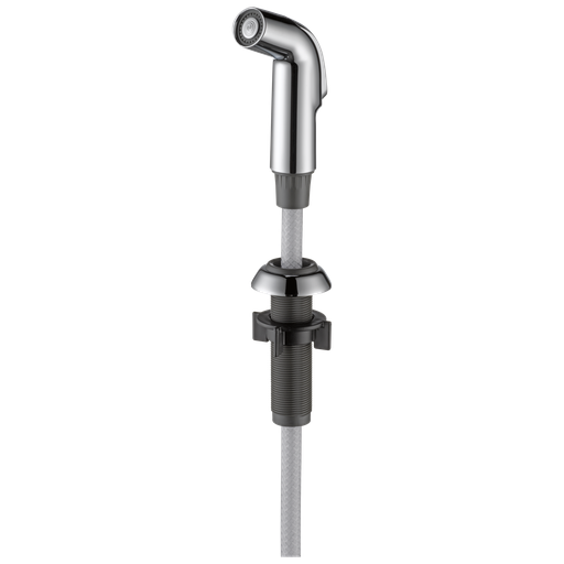 Delta Other: Side Spray & Hose Assembly - Chrome