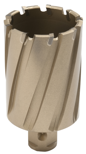 1-7/8 X 2 CARBICE CUTTER