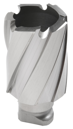 1-1/16 ROTOLOC CUTTER