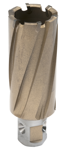 1-3/16 X 2 CARBICE CUTTER