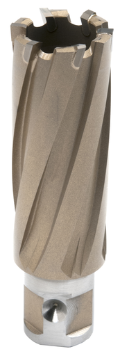 1 X 2 CARBICE CUTTER