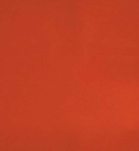 6 X 4 ORANGE VNYL REP CURTAIN