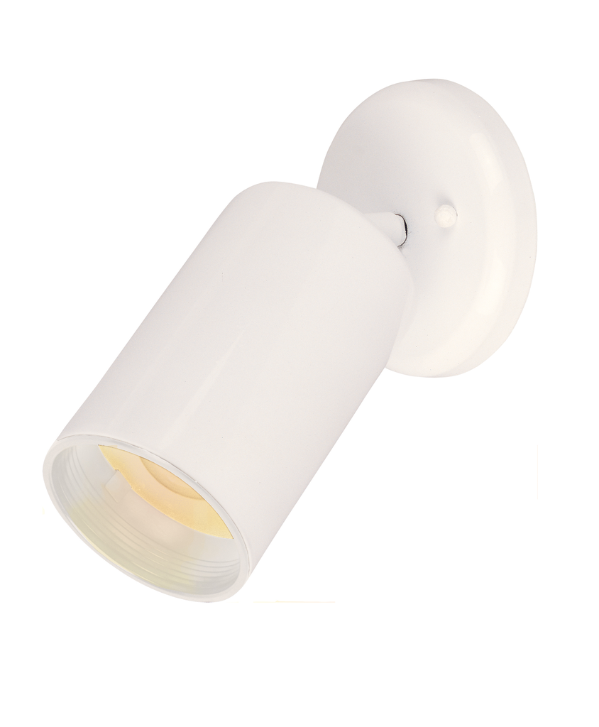Product image for Spots 1 Light Wall/Flush Mount - White