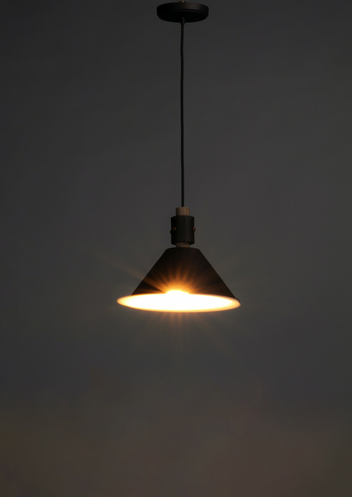Tucson 1-Light Pendant, Oil Rubbed Bronze / Weathered Wood