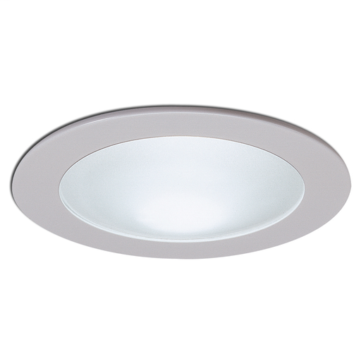 Product image for NORA NS-25W WHT FRSTD DOME SHWR TRM
