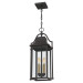 Manning Outdoor hanging 3 light western bronze