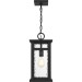 Moira Outdoor hanging 1 light earth black