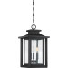 Product image for Wakefield 3 Light Hanging Lantern - Earth Black