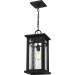 Moira Outdoor hanging 1 light earth black