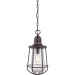 Product image for Marine 1 Light Hanging Lantern - Western Bronze