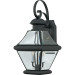 Product image for Rutledge 2 Light Medium Wall Lantern - Mystic Black