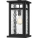 Moira Outdoor hanging 1 light earth black