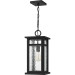 Moira Outdoor hanging 1 light earth black