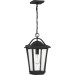 Product image for Darius 1 Light Hanging Lantern - Earth Black
