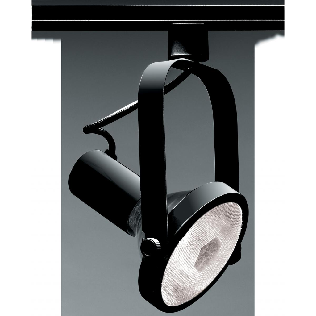 SATCO TH225 BLACK PAR38 GIMBAL RING SATCO TH225 BLACK PAR38 GIMBAL RING