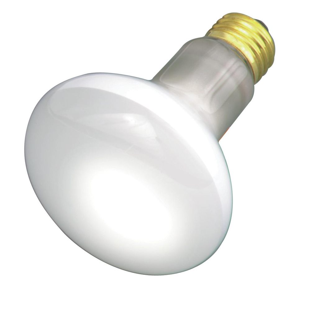 SATCO S2810 30R20 REFLECTOR 130V SATCO S2810 30R20 REFLECTOR 130V