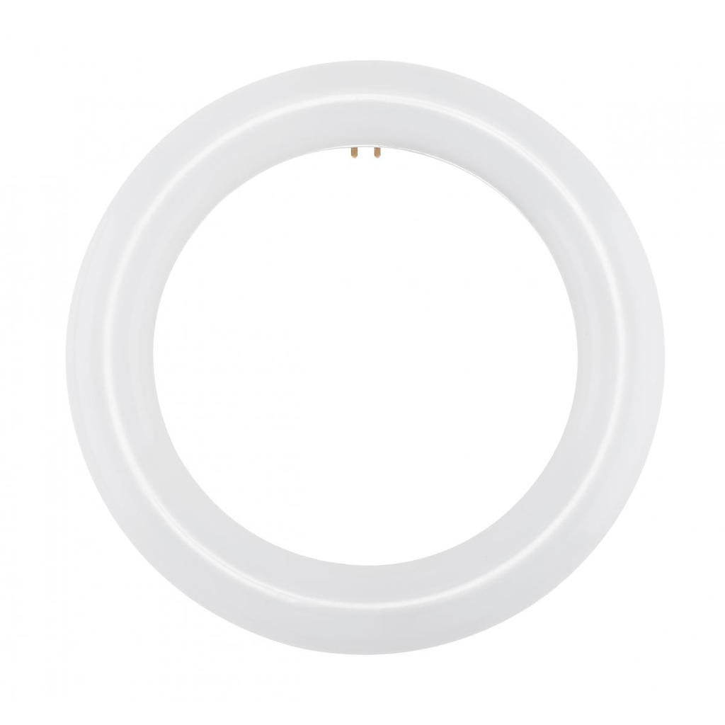 SATCO S16500 FC8T9/LED/CIR/830/BP SATCO S16500 FC8T9/LED/CIR/830/BP