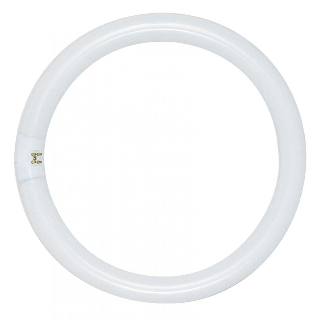 SATCO S6501 FC8T9/D 22W DAYLIGHT 65 SATCO S6501 FC8T9/D 22W DAYLIGHT 65