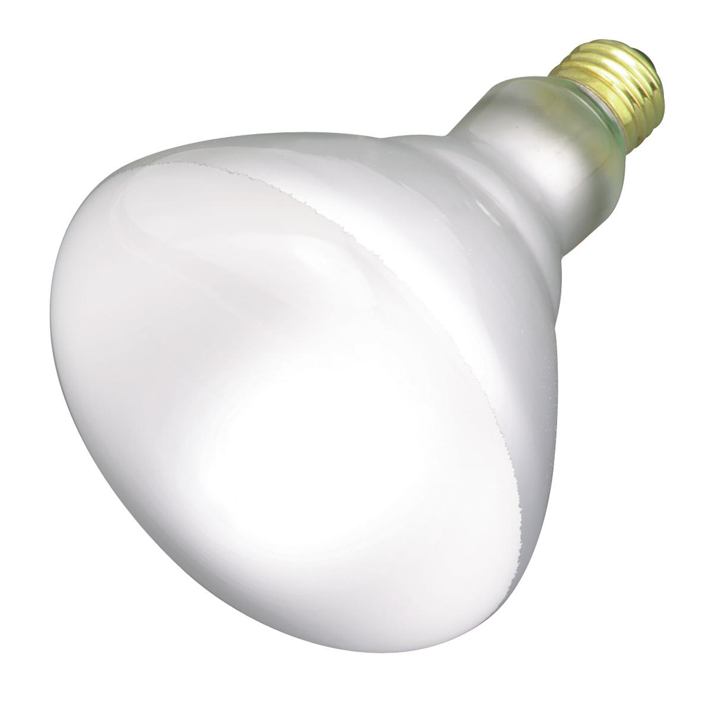 SATCO S4453 65 W 130 Volt 540 Lumen Frosted E26 Medium Base BR40 Reflector Incandescent Lamp SATCO S4453 65 W 130 Volt 540 Lumen Frosted E26 Medium Base BR40 Reflector Incandescent Lamp