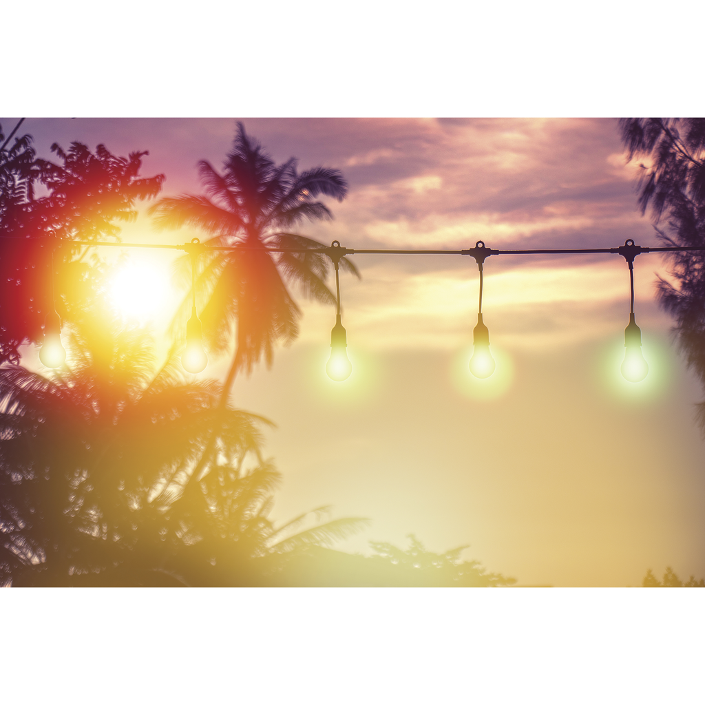 Satco S11272 10 Watt; LED String Light; Starfish IOT; 120 Volts; 260