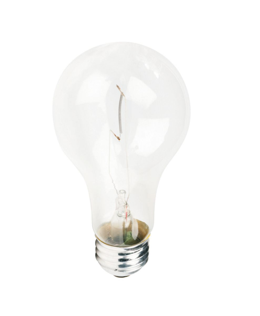 Product image for Philips 224857 116 W 130 Volt A21 Medium 1180 Lumen Clear Incandescent Lamp