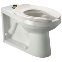 Z5636-BWL EcoVantage® HET Floor-mounted Toilet with Integral Bedpan Lugs