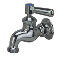 Z81301-XL - AquaSpec® wall-mount single sink faucet with lever handle