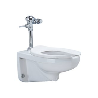 1.1 gpf HET AV Manual Diaphragm Wall Hung Toilet System