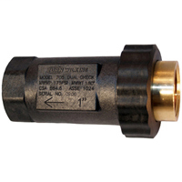 1UFX1F-705 - 1" Dual Check Valve with Female NPT threaded union inlet connection